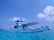 MAR PROMOTION }[v[V̎ʐ^2