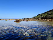 MAR PROMOTION }[v[V̎ʐ^4