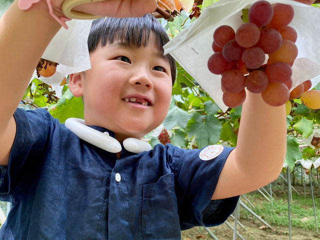 ���q�l���炨���肢���������ʐ^�B���̓���Ԃ������������Ԃǂ������n���Ă���u�Ԃ������ł���_�[���̋u�ό��_��(�����s�ό��Ԃǂ��Z���^�[�����x��)