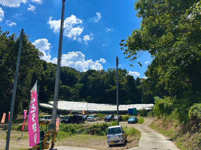 ���̉������B
�΂Ɉ͂܂ꂽ�����������Ԃł��B_�[���̋u�ό��_��(�����s�ό��Ԃǂ��Z���^�[�����x��)