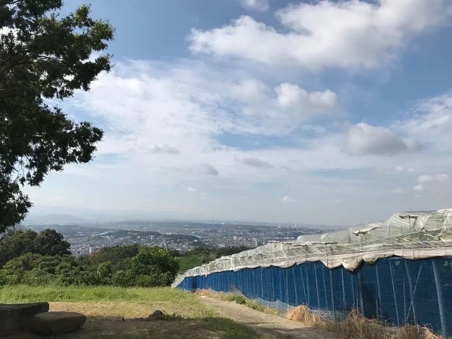 ���̉��͌����炵�̗ǂ������́B_�[���̋u�ό��_��(�����s�ό��Ԃǂ��Z���^�[�����x��)