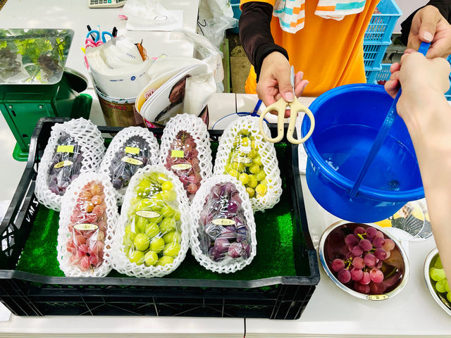 ��t�ł͂��y�Y��̔����􂲎��g�Ŏ��n�����������Ԃǂ����A�������グ�����������Ƃ��\�ł��B_�[���̋u�ό��_��(�����s�ό��Ԃǂ��Z���^�[�����x��)