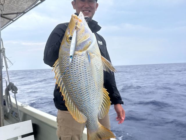 ���C�g�W�M���O_�_�C�r���O�V���b�v�@�A�[�N�G���W�F��