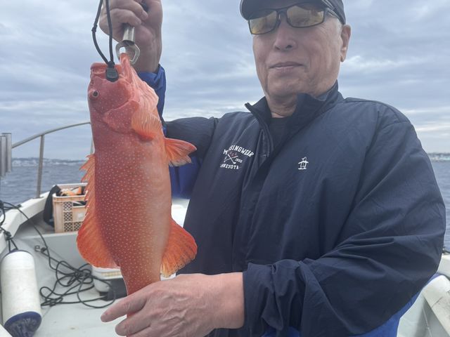 �A�J�W��_�_�C�r���O�V���b�v�@�A�[�N�G���W�F��