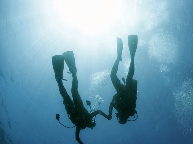 �_�C�r���O_�_�C�r���O�V���b�v�@�A�[�N�G���W�F��