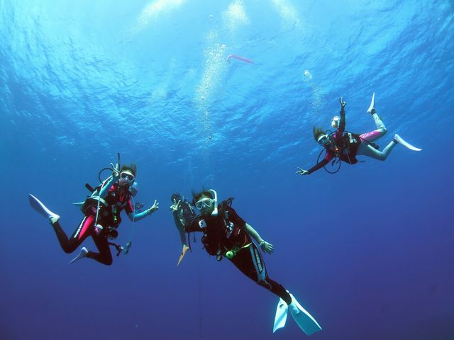 �t�@���_�C�r���O_�_�C�r���O�V���b�v�@�A�[�N�G���W�F��