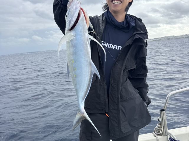 ���ނ�_�_�C�r���O�V���b�v�@�A�[�N�G���W�F��