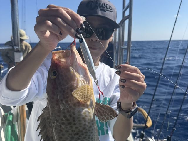 �W�M���O_�_�C�r���O�V���b�v�@�A�[�N�G���W�F��