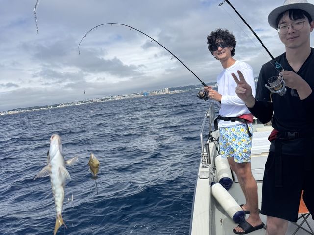 �D�ނ�_�_�C�r���O�V���b�v�@�A�[�N�G���W�F��