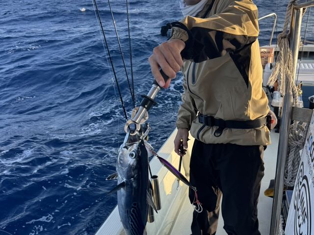 SLJ_�_�C�r���O�V���b�v�@�A�[�N�G���W�F��