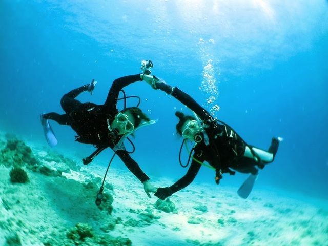 �t�@���_�C�r���O_�_�C�r���O�V���b�v�@�A�[�N�G���W�F��