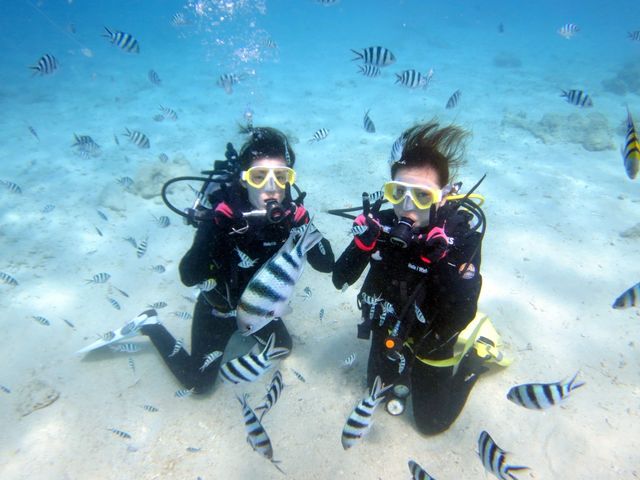 �̌��_�C�r���O_�_�C�r���O�V���b�v�@�A�[�N�G���W�F��