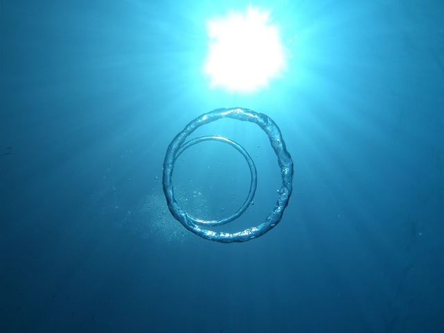 �V���m�[�P��_�_�C�r���O�V���b�v�@�A�[�N�G���W�F��