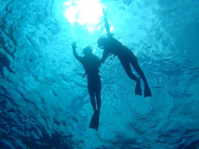 �V���m�[�P�����O_�_�C�r���O�V���b�v�@�A�[�N�G���W�F��