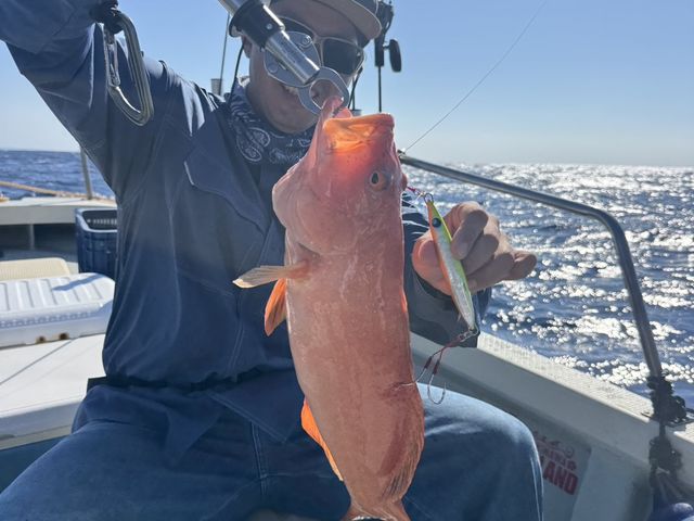 ���ꍂ�����A�J�W��_�_�C�r���O�V���b�v�@�A�[�N�G���W�F��