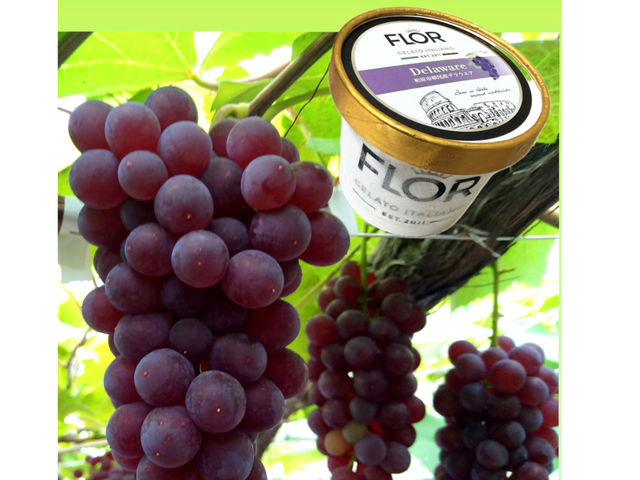 �܂�˕����_��(�����s�ό��Ԃǂ��Z���^�[�����x��)