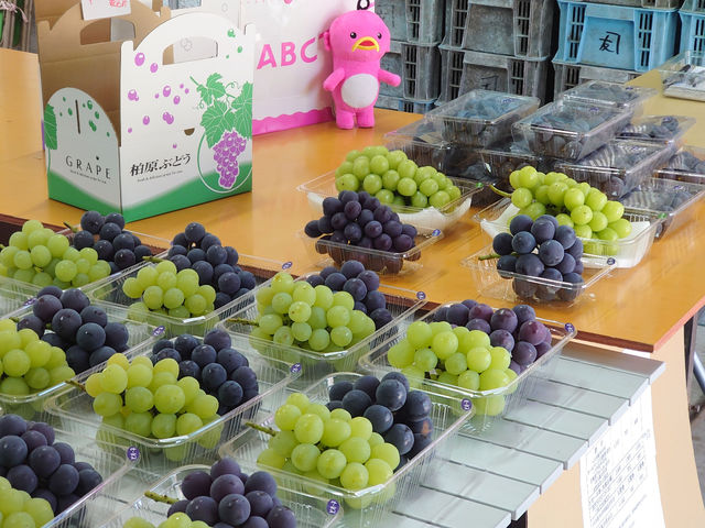 �������̕��i�i�G�ߎ��̂Ԃǂ��j_���˂Ƃ������_��(�����s�ό��Ԃǂ��Z���^�[�����x��)