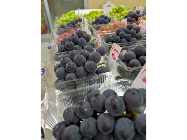 ���˂Ƃ������_��(�����s�ό��Ԃǂ��Z���^�[�����x��)