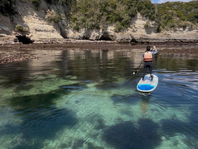 ���������x���ւ�G���A�ł�sup�̌�_GO4SURF
