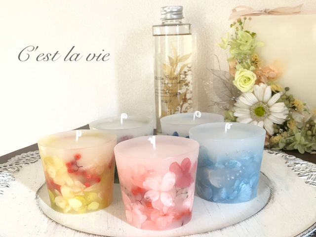 C'est la vie�i�Z�����B�j