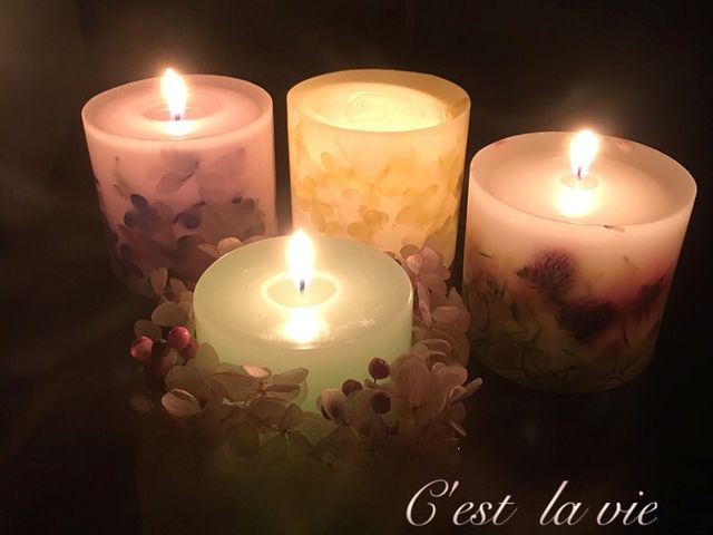 C'est la vie�i�Z�����B�j