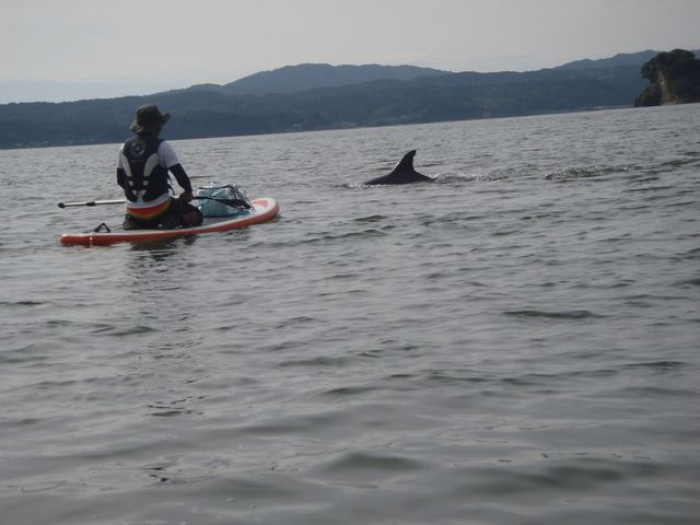 �T������Ȃ���I�ΐ쌧�ł͖�C���J�ɑ������鎞���A����ł��I�I_styleebase