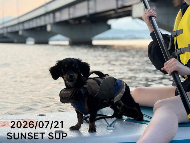 �L�����i�΂ł́`��т�SUP�̌��I�������ł����c_���コ��ێ���
