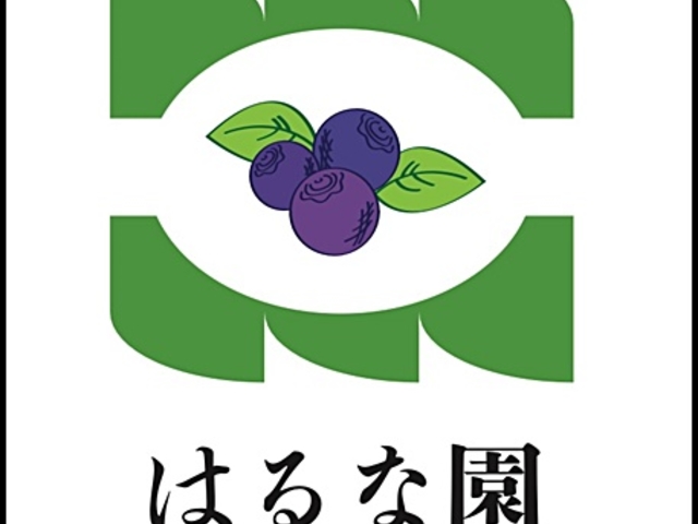 �͂�ȉ��̃��S���ł��܂����B_BlueBerry�͂�ȉ�