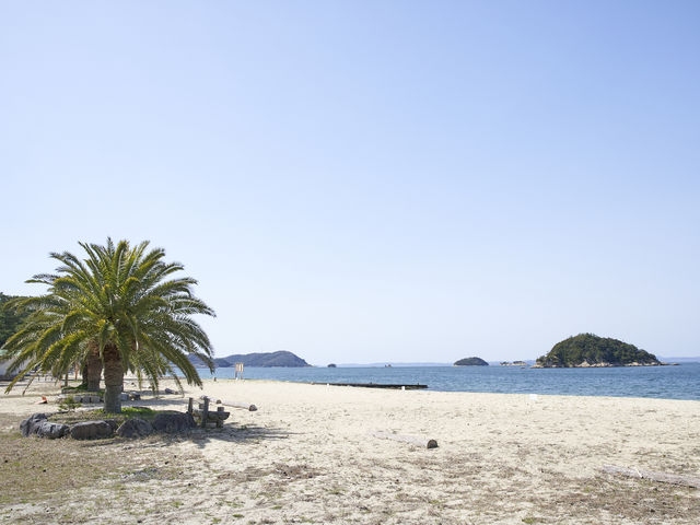 �V�}�A�\�r