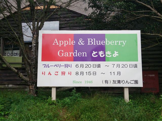 Apple&Blueberry Garden �Ƃ�����