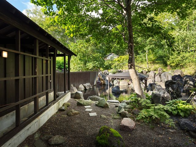 �j�Z�R�A���k�v������@���S���̎ʐ^1