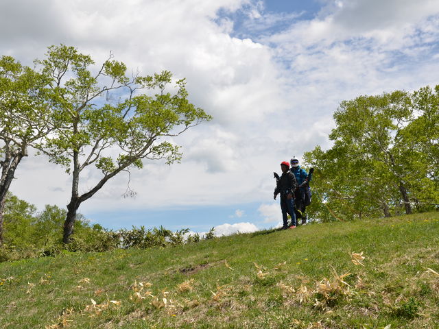 �ǂ�����҂��܂�_�j�Z�R�p���O���C�f�B���O