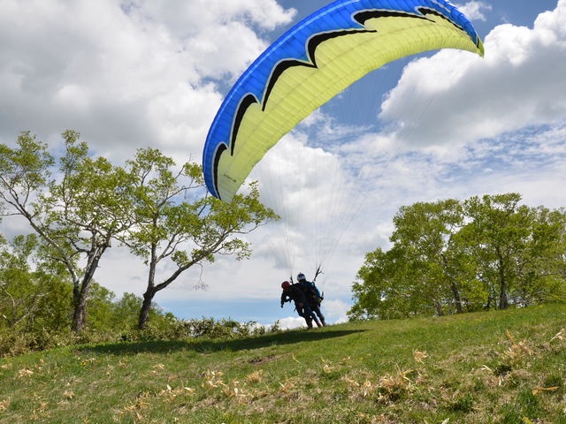 ����̃p���O���C�_�[���m�F���܂�_�j�Z�R�p���O���C�f�B���O