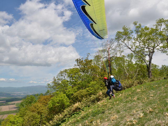 �����Ƀe�C�N�I�t�I_�j�Z�R�p���O���C�f�B���O