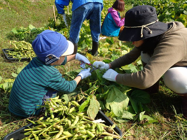 �����̎��n�u�嗱�̓�����R�v_�����JUN�����_��