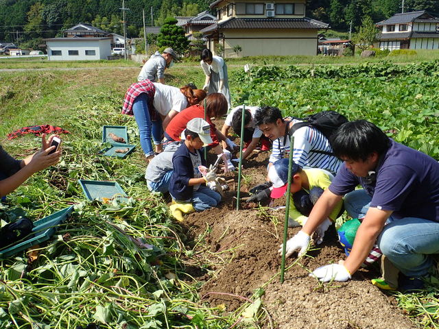 �T�c�}�C���̎��n_�����JUN�����_��