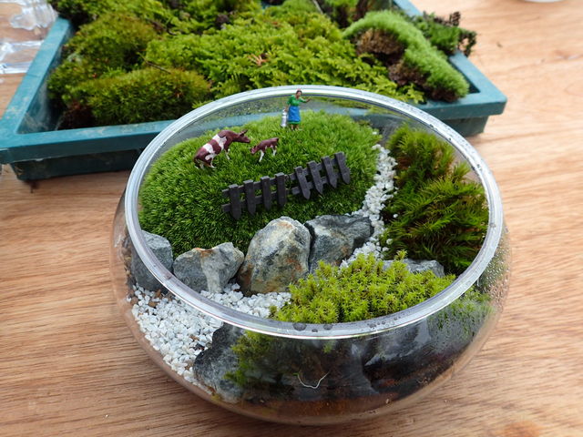 �ۃe�������[�������̍�i_�����JUN�����_��