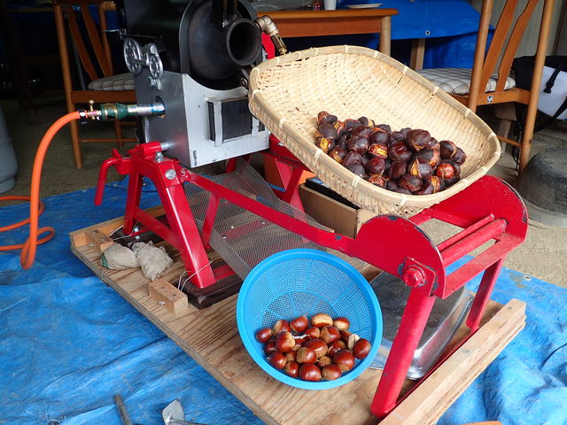 �I�|�����ł���_�����JUN�����_��