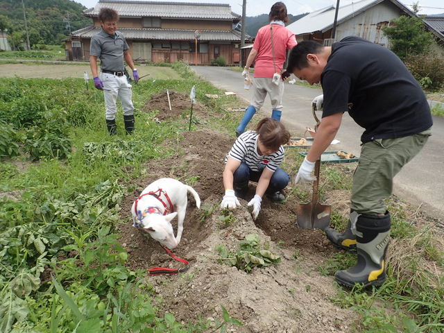 �W���K�C���̎��n�B����������`���H_�����JUN�����_��