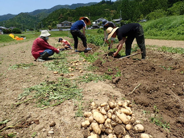 たんばJUNちゃん農園】アクセス・営業時間・料金情報 - じゃらんnet