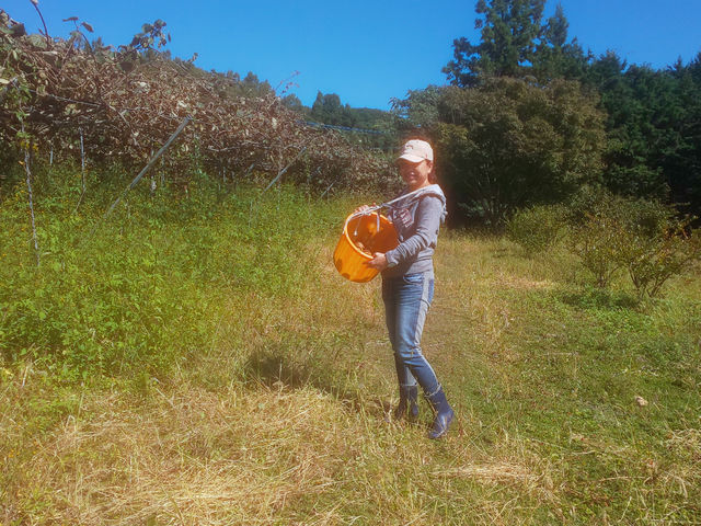 ���܁[�Ƃ炢�Ӕ_���@KITSUKI�@