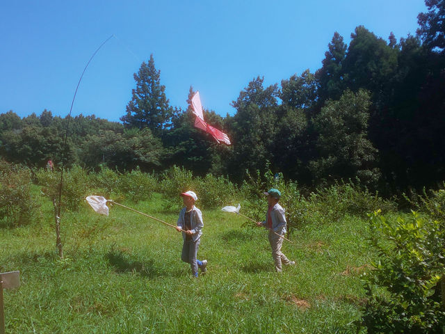 ���܁[�Ƃ炢�Ӕ_���@KITSUKI�@