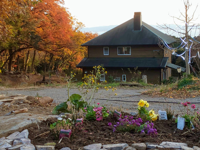 ���܁[�Ƃ炢�Ӕ_���@KITSUKI�@