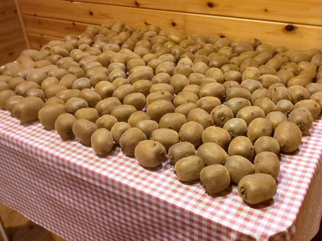 ���܁[�Ƃ炢�Ӕ_���@KITSUKI�@