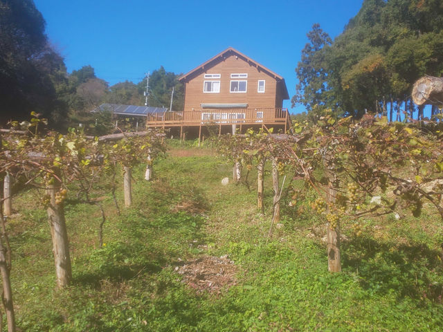 ���܁[�Ƃ炢�Ӕ_���@KITSUKI�@