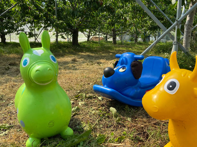 �������q��������O�����ɔ��Ŋy���߂܂�_humming bird