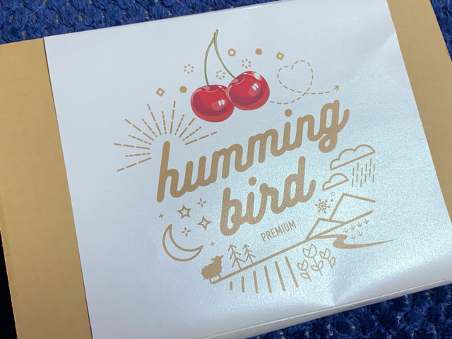 �����p�M�t�g��_humming bird