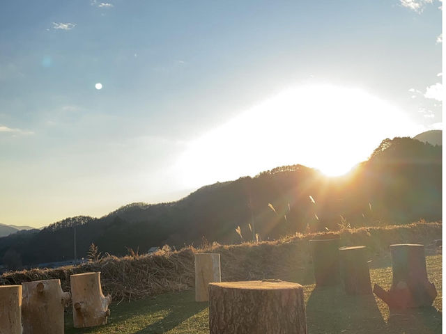 �s�N�j�b�N�T�C�g�̗[��_humming bird