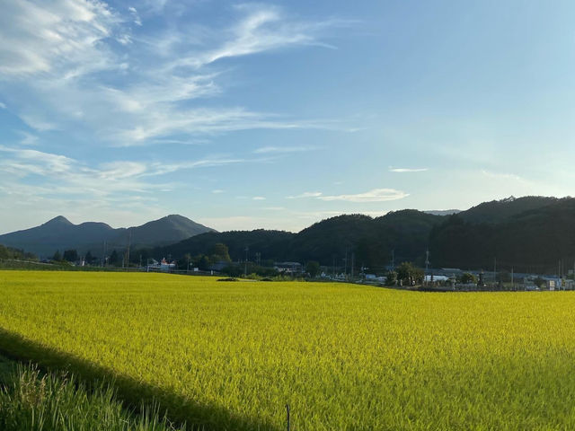 �������c�����i���ǂ��܂ł������Ă��܂�_humming bird