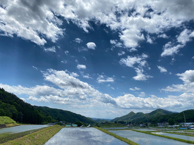 �������c�����i���L����A�S�n�悢���������Ă��܂�_humming bird